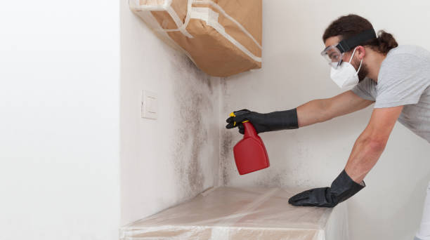 Professional Mold Remediation technician working in Hathorne, MA
